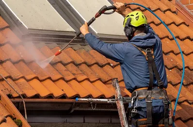 Démoussage et hydrofuge de toiture à Lavilledieu